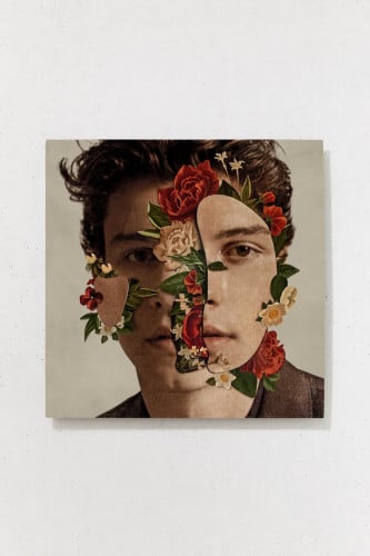 Shawn Mendes - Shawn Mendes LP
