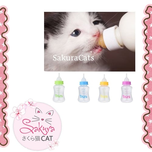 رضاعة للقطط مع ادواتها