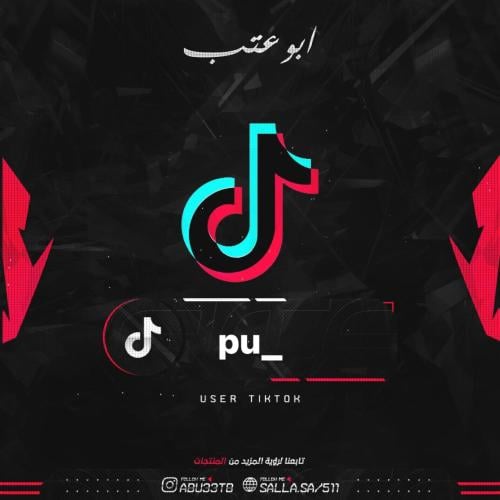 يوزر شبه ثنائي تيك توك
