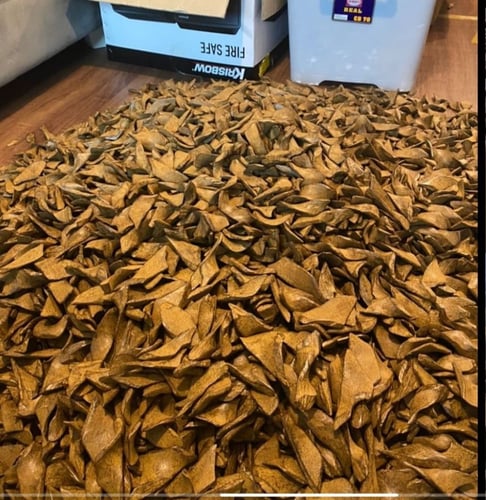 أعواد الند الذكية درجة أولى مع المبخرة الذكية