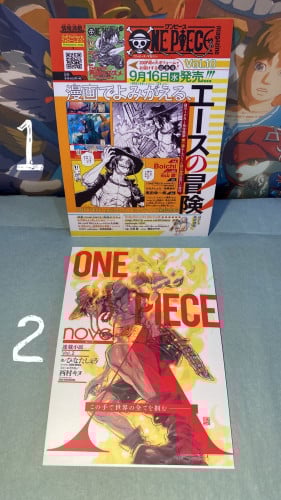 بوستر One piece