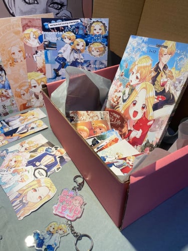 The twins new life Box
