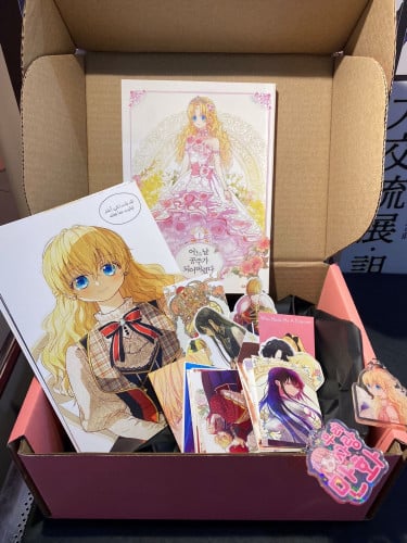 One day i became princess box