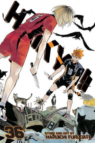 Haikyuu!! Vol36