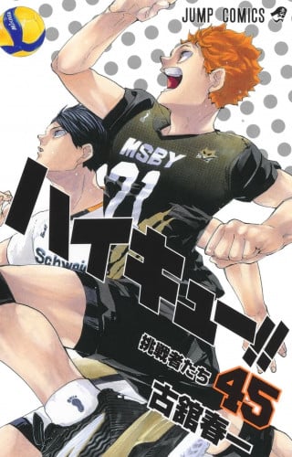 Haikyuu!! Vol45