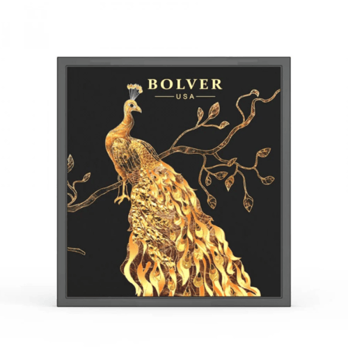 باليت ظلال عيون 9 لون E04من بولفير