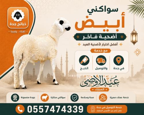 سواكني أبيض اضحيه فاخر