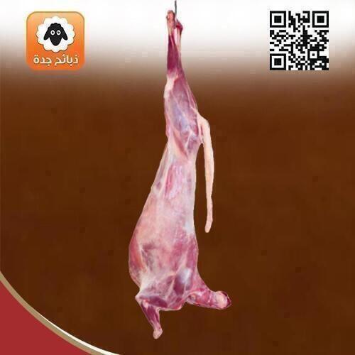 سواكني مبرد هرفي وسط