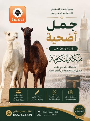نصف حاشي طازج - ذبح بعد الطلب مع التقطيع والتغليف...