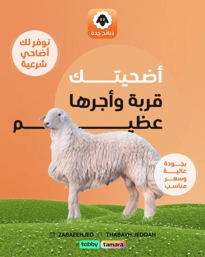 حري أضحيه جبر