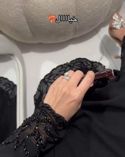 ڤيولا