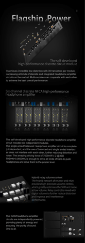 TOPPING DX9 15th Anniversary DAC&Headphone Amplifi...