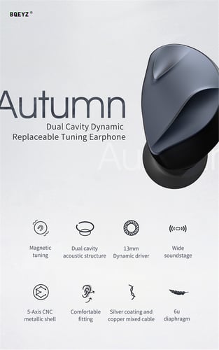 BQEYZ Autumn IEM