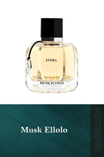 EVORA