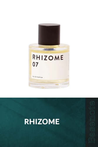 RHIZOME 07 100ML