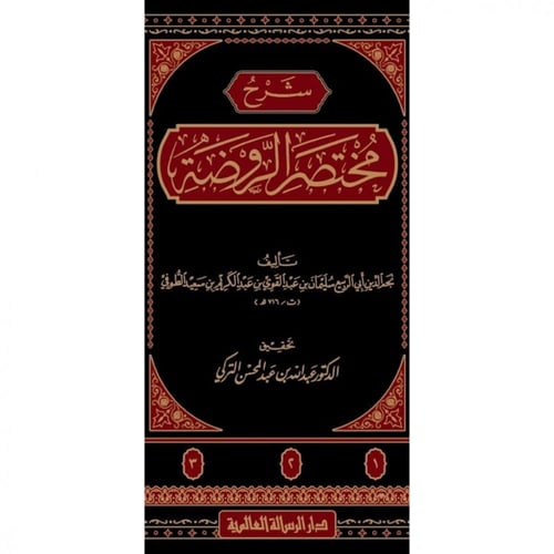 شرح مختصر الروضة 3/1