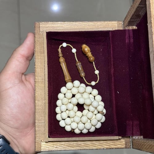 مسباح عظم جمل & كوك