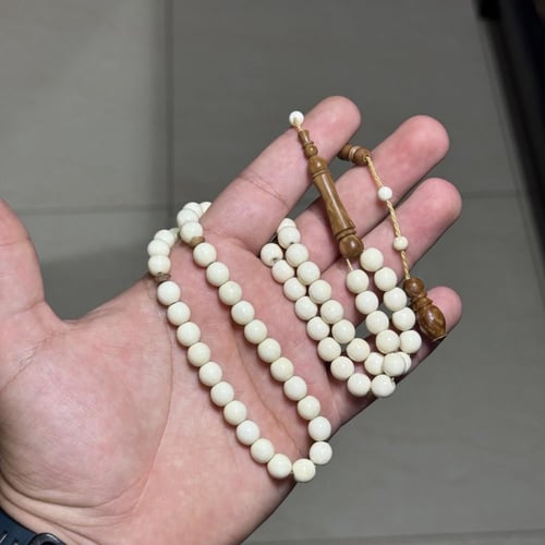 مسباح عظم جمل & كوك