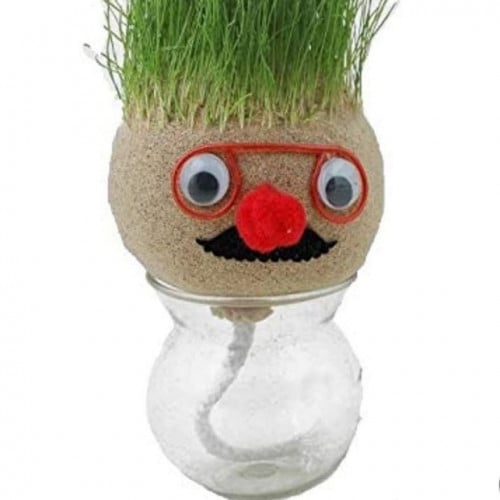 حوض نباتي براس دمية