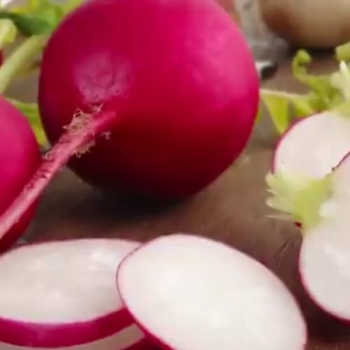 بذور شجرة الفجل Raphanus sativus