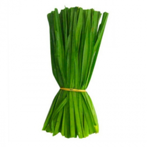 بذور نبات الكراث المصري Allium ampeloprasum