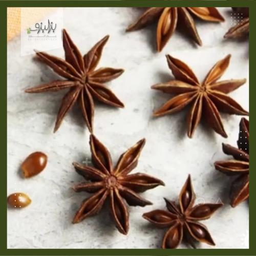 بذور شجرة نجمة اليانسونIllicium verum