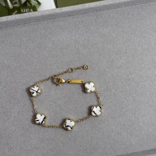 اسواره فانكليف