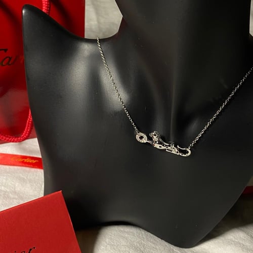 سلسال كارتير فضي