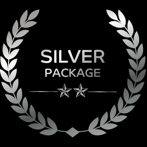 الباقة الفضية Silver Bundle