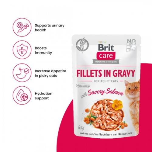Brit Care British salmon slices in broth with deli...