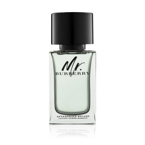 بربري مستر بربري BURBERRY MR EDT 100ML