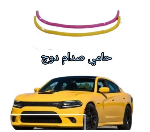 Pink Dodge Charger bumper protector 2015 to 2024 S...