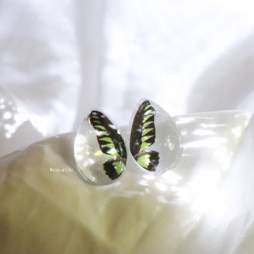 butterfly earing اقراط