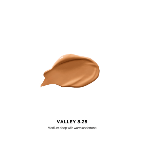 VANISH™ AIRBRUSH CONCEALER