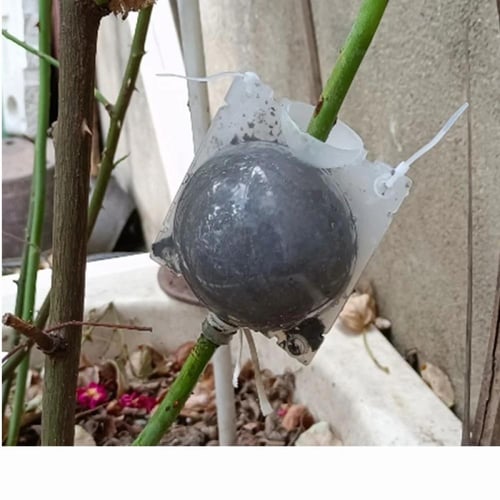 جهاز تاصيل النباتات عالي الضغط