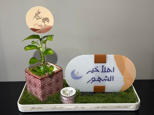 استاند مع نبتة طبيعية وقاعدة وشمعة معطرة