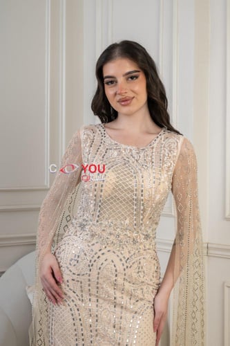 فستان سهرة شامبين راقٍ بتطريز لامع وقصة ناعمة مع أ...