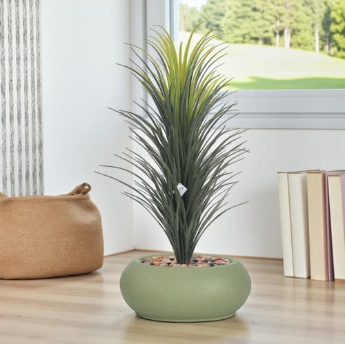 شجر صبار فرع واحد حوض فيبر بيضاوي مقاس 110 سم - مت...