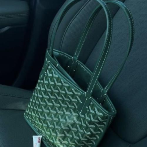 Goyard - mini