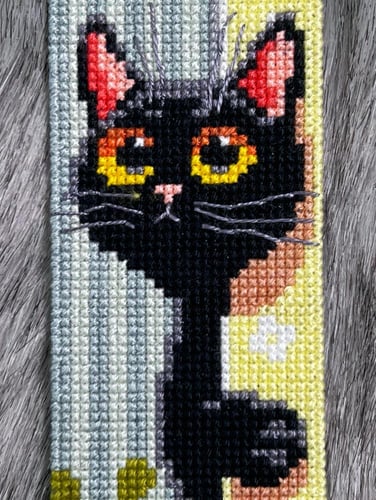 فاصل كتاب القط