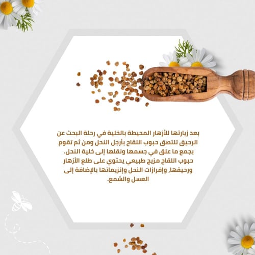 حبوب اللقاح (صيني)