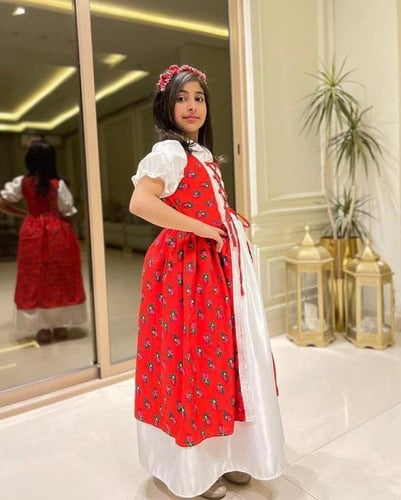 فستان شالكي انيق