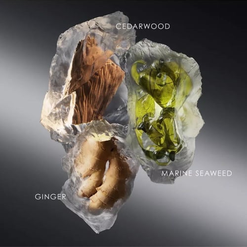 إيسي مياكي لي سيل دي إيسي او دو تواليت 100 مل