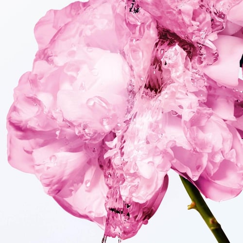 ميس ديور حليب مرطب للجسم بشمع الورد 175 مل