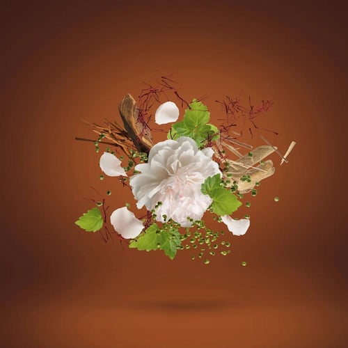 عطر زيرجوف كاساموراتي 1888 100 ملي