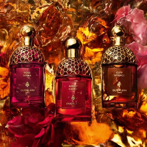 عطر جيرلان ابسولو أليجوريا امبر سامر 125 ملي