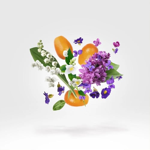 عطر زيرجوف كاساموراتي داما بيانكا 100 ملي