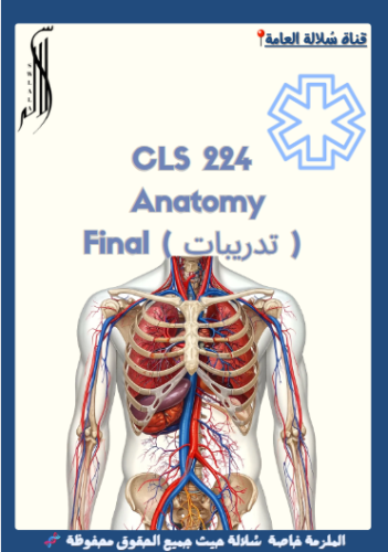 CLS 224 ( الأسئلة المحاكية )