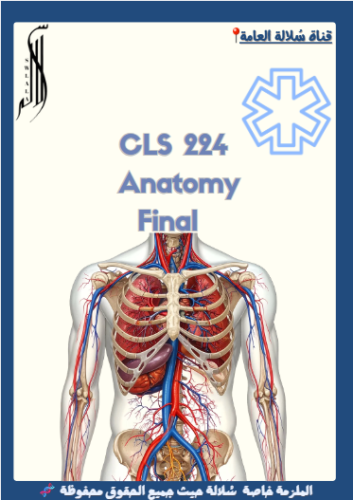 CLS 224