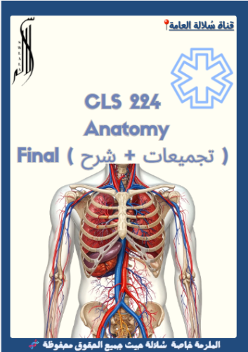 CLS 224 ( تجميعات + شرح )